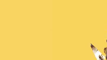 Photo by Pablo Montt