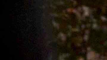 Rescue operations continue on September 21, 2017 in Mexico City, Mexico. Photo by Rafael S. Fabres/Getty Images News