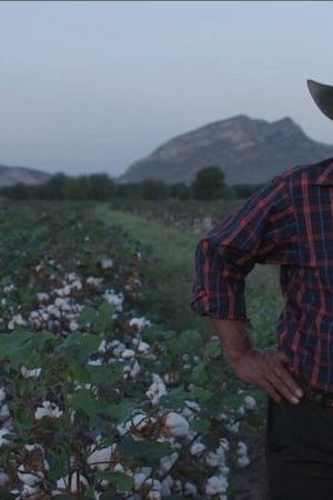 'A morir a los desiertos' Courtesy of Los Cabos International Film Festival