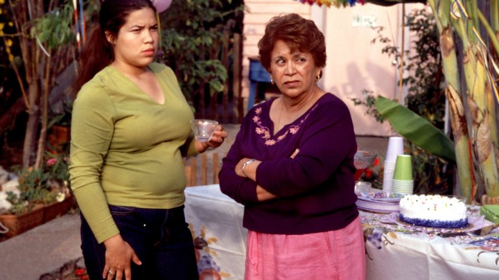 Real Women Have Curves