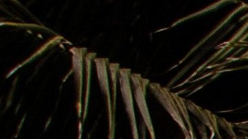 Photo Tito Slack / iStock / Getty Images Plus