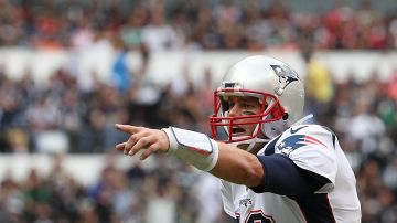 Brady