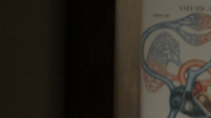 'Brujos' still courtesy of Ricardo Gamboa