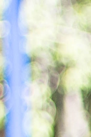 Photo by Lisa Pardo for Remezcla