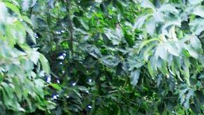 Creative Commons "Fulmoregate2" by Kmscherer is licensed under CC BY 3.0