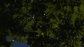 Concertina wire and a security camera line the perimiter of the York County Dentention Center. Photo by John Moore/Getty Images