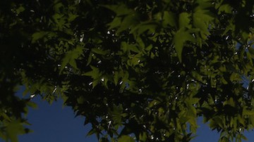 Concertina wire and a security camera line the perimiter of the York County Dentention Center. Photo by John Moore/Getty Images