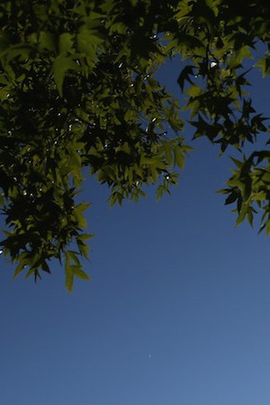 Concertina wire and a security camera line the perimiter of the York County Dentention Center. Photo by John Moore/Getty Images