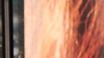 Suzette Quintanilla attends Madame Tussauds Hollywood's Selena Wax Figure Makes Special Appearance at the Walk of Fame Reception.  Photo by Joshua Blanchard/Getty Images for Madame Tussauds Hollywood