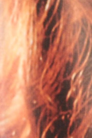 Suzette Quintanilla attends Madame Tussauds Hollywood's Selena Wax Figure Makes Special Appearance at the Walk of Fame Reception.  Photo by Joshua Blanchard/Getty Images for Madame Tussauds Hollywood