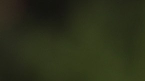 Meredeth Cooper wipes away a tear after handing flowers to a police officer guarding a road block near the First Baptist Church of Sutherland Springs. Photo by Scott Olson/Getty Images News