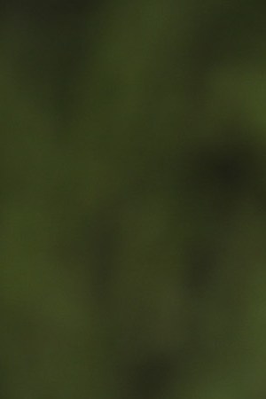Meredeth Cooper wipes away a tear after handing flowers to a police officer guarding a road block near the First Baptist Church of Sutherland Springs. Photo by Scott Olson/Getty Images News