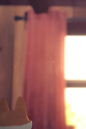 'Here's the Plan' courtesy of the filmmakers