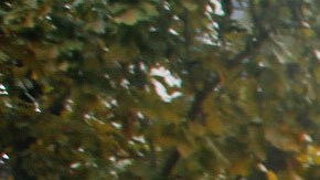 Photo by Jessica Alvarenga for Remezcla