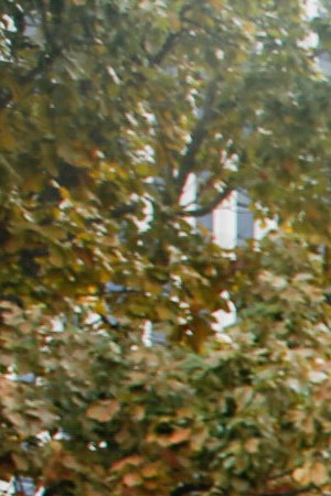 Photo by Jessica Alvarenga for Remezcla