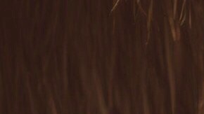 Photo courtesy of the artist