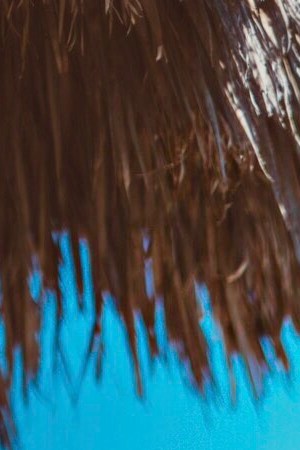 Photo courtesy of the artist