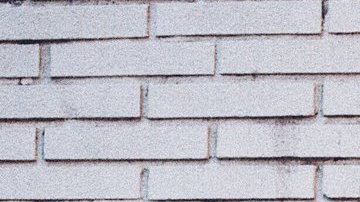 Courtesy of Mija Management