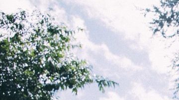 Courtesy of Moügli