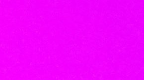 Photo by Hanna Quevedo. Courtesy of the artist