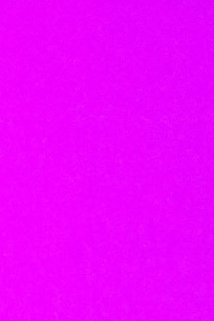 Photo by Hanna Quevedo. Courtesy of the artist