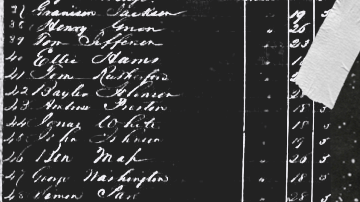 Tony Gallardo & The Boid - Adoración y Locura_music