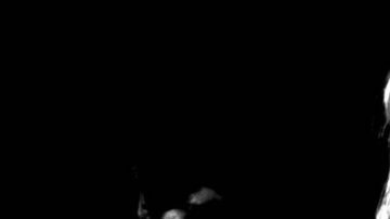 exploded view 2017_music