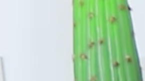 Screenshot from Karina Garcia's channel/YouTube