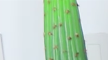 Screenshot from Karina Garcia's channel/YouTube