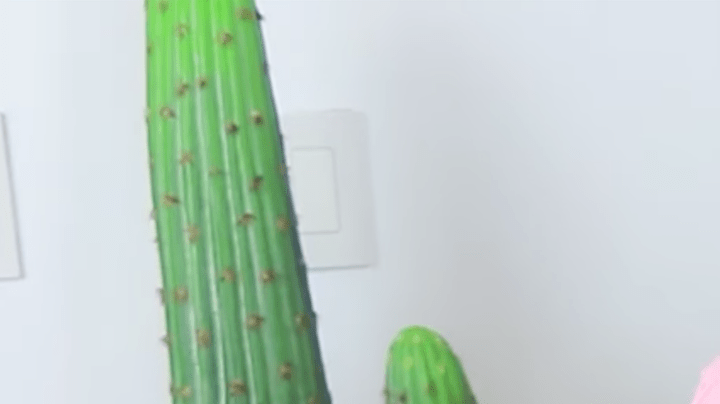 Screenshot from Karina Garcia's channel/YouTube