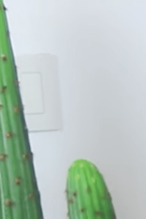 Screenshot from Karina Garcia's channel/YouTube