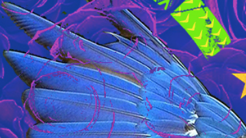 Magín Díaz. Courtesy of Andres Rodriguez