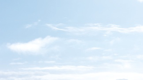 Art by Alan López for Remezcla