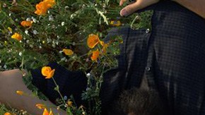 Art by Alan Lopez for Remezcla