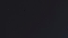 Courtesy of Vice Menta