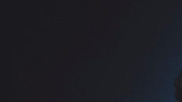 Courtesy of Vice Menta