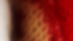 "ugly Christmas sweaters / ski sweaters” by TheUglySweaterShop.com is licensed under CC BY 2.0