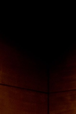 'Una mujer fantastica' still courtesy of Sony Pictures Classics