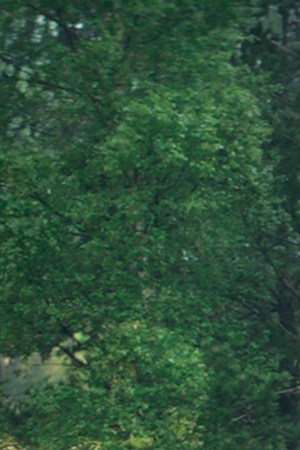 Gina Rodriguez, Tessa Thompson, Tuva Novotny, Natalie Portman and Jennifer Jason Leigh in 'Annihilation.' Courtesy of  Paramount Pictures