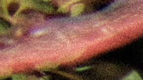 El Cocoró Del Futuro. Photo by Carlos Rodriguez for Remezcla