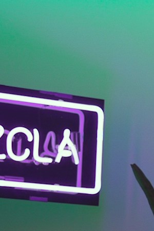 Fan_Story_3.00_00_02_04.Still001 (1)