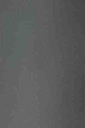 U.S. Supreme Court Justice Sonia Sotomayor participates in an annual Women's History Month reception. Photo by Allison Shelley/Getty Images News