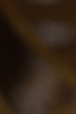 Emmanuel Lubezki accepts the Best Cinematography award for 'The Revenant' onstage during the 88th Annual Academy Awards at the Dolby Theatre. Photo by Kevin Winter/Getty Images