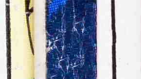 Photo by deberarr/iStock / Getty Images Plus