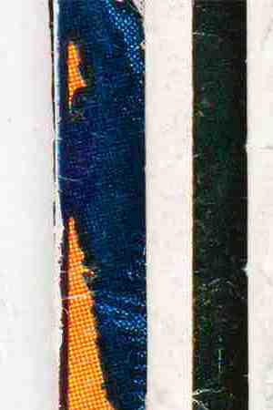 Photo by deberarr/iStock / Getty Images Plus