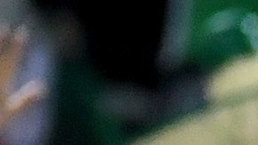Mexico fans cheer during the team's exhibition match against Iceland at Sam Boyd Stadium on February 8, 2017 in Las Vegas, Nevada. Mexico won 1-0.  (Photo by Ethan Miller/Getty Images)