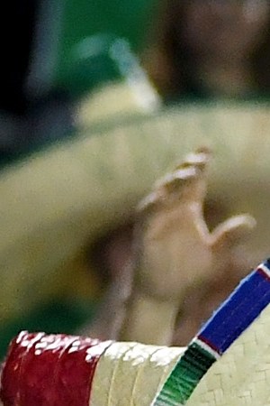 Mexico fans cheer during the team's exhibition match against Iceland at Sam Boyd Stadium on February 8, 2017 in Las Vegas, Nevada. Mexico won 1-0.  (Photo by Ethan Miller/Getty Images)