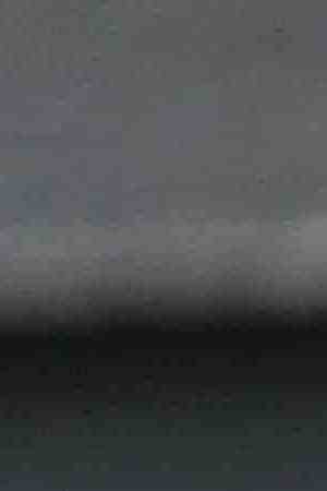 Photo by dmbaker/iStock / Getty Images Plus