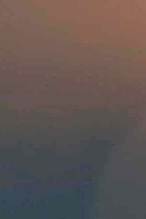 iStock / Getty Images Plus