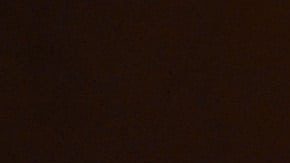 Special Award Winner Alejandro González Iñárritu speaks onstage at the Academy of Motion Picture Arts and Sciences' 9th Annual Governors Awards on November 11, 2017. Photo by Kevin Winter/Getty Images